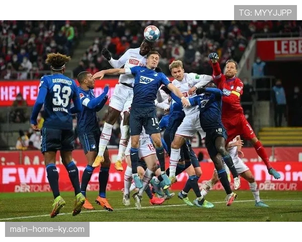 霍芬海姆进攻火力强劲 55个进球位列联赛前列